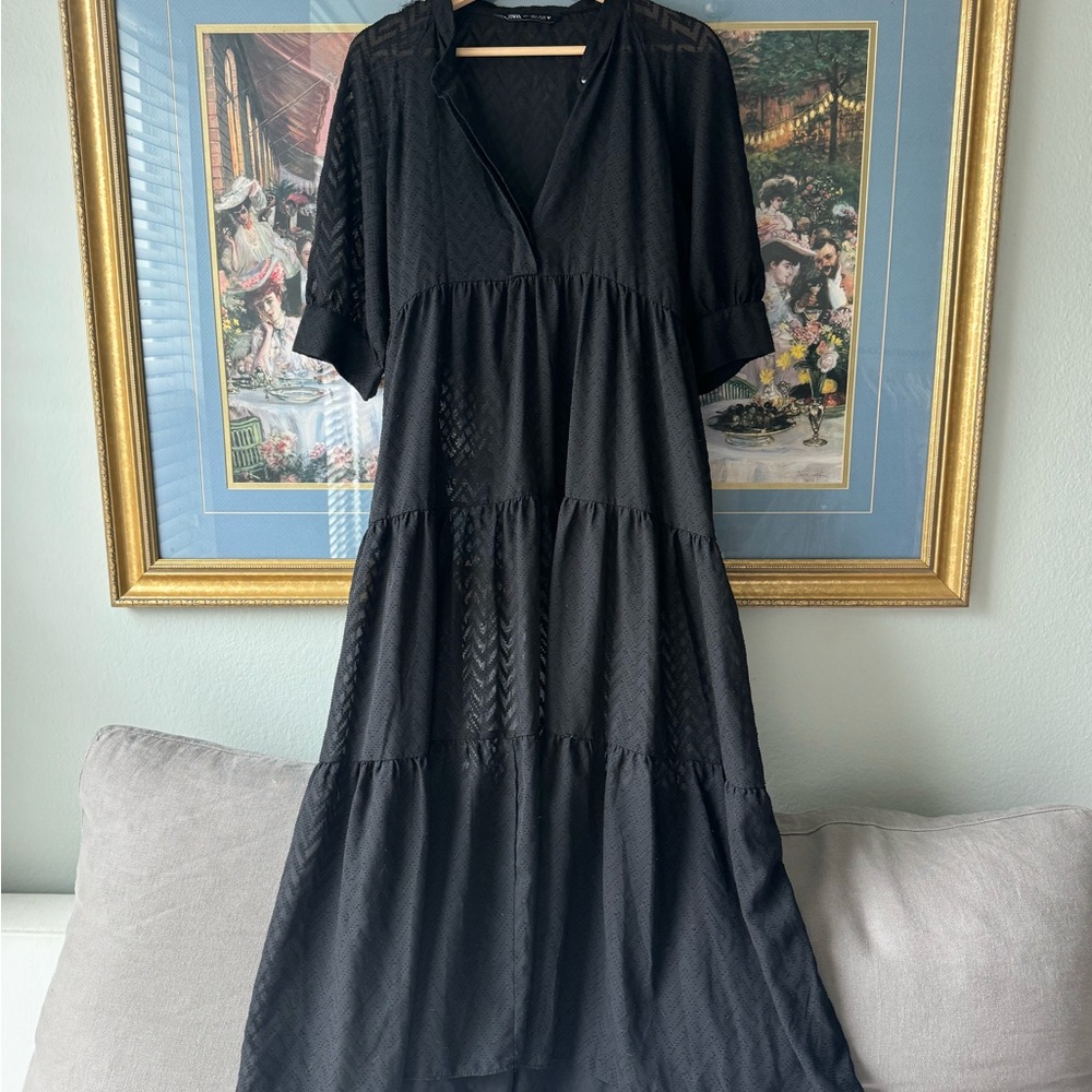 Zara sheer polkadot Dress